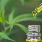 Guardando da vicino i benefici del CBD per il corpo e per la mente